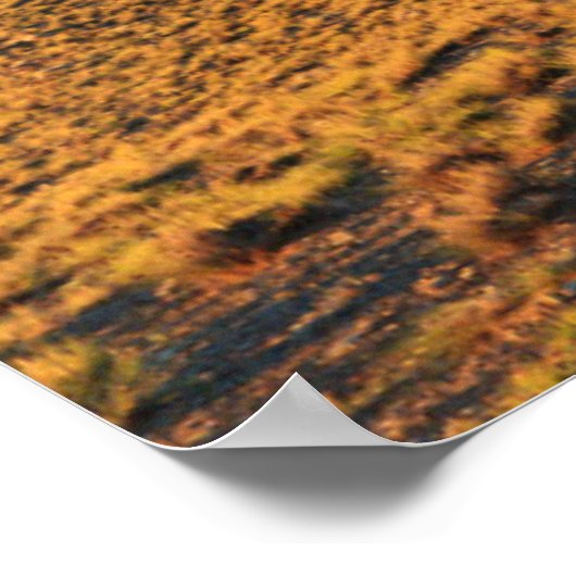 Sunset te Paramillos Poster (Hoek)