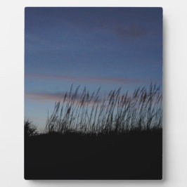 Sunset the Beach Fotoplaat