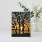 Sunset Through Art Briefkaart (Staand voorkant)