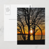 Sunset Through Art Briefkaart (Voorkant / Achterkant)