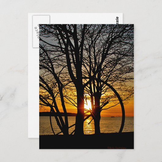 Sunset Through Art Briefkaart (Voorkant / Achterkant)