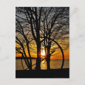 Sunset Through Art Briefkaart (Voorkant)