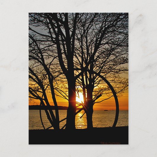 Sunset Through Art Briefkaart (Voorkant)