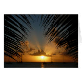 Sunset Through Palm Fronds Kaart (Voorkant Horizontaal)