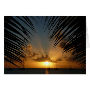 Sunset Through Palm Fronds Kaart