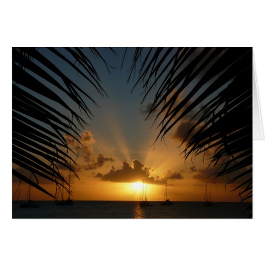 Sunset Through Palm Fronds Kaart (Voorkant Horizontaal)