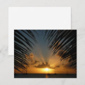 Sunset Through Palm Fronds Tropical Seascape (Voorkant / Achterkant)
