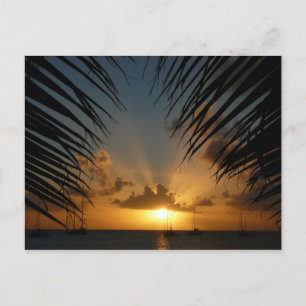 Sunset Through Palm Fronds Tropical Seascape Briefkaart