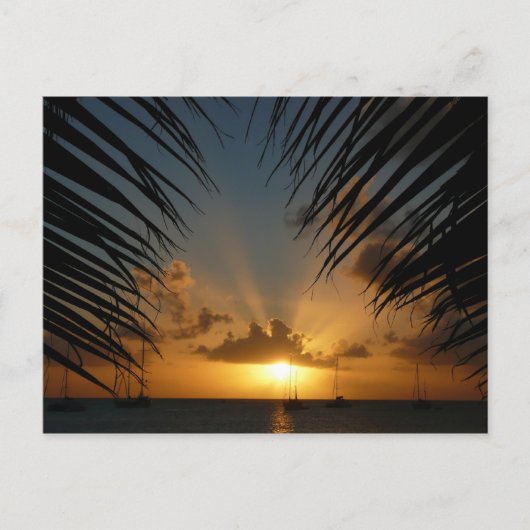 Sunset Through Palm Fronds Tropical Seascape Briefkaart (Voorkant)