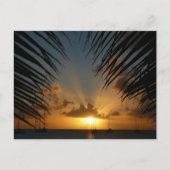 Sunset Through Palm Fronds Tropical Seascape Briefkaart (Voorkant)