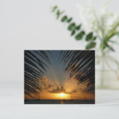 Sunset Through Palm Fronds Tropical Seascape Briefkaart (Staand voorkant)
