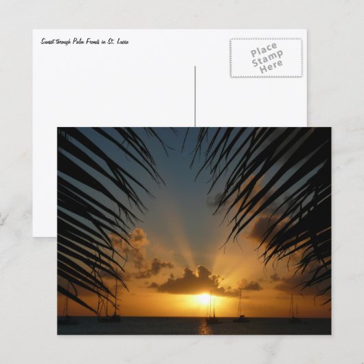 Sunset Through Palm Fronds Tropical Seascape Briefkaart (Voorkant / Achterkant)