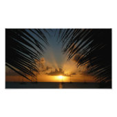 Sunset Through Palm Fronds Tropical Seascape Foto Afdruk (Voorkant)