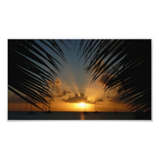 Sunset Through Palm Fronds Tropical Seascape Foto Afdruk (Voorkant)