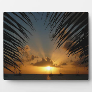 Sunset Through Palm Fronds Tropical Seascape Fotoplaat