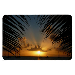 Sunset Through Palm Fronds Tropical Seascape Magneet