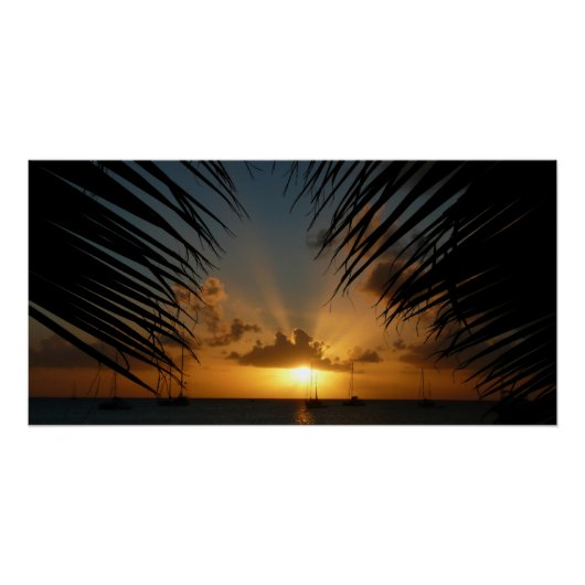 Sunset Through Palm Fronds Tropical Seascape Perfect Poster (Voorkant)