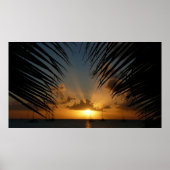 Sunset Through Palm Fronds Tropical Seascape Poster (Voorkant)