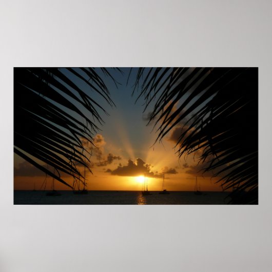 Sunset Through Palm Fronds Tropical Seascape Poster (Voorkant)