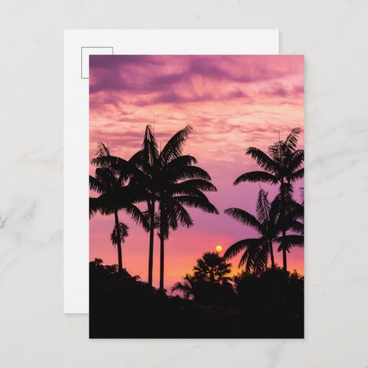 Sunset through Palm Trees Briefkaart (Voorkant / Achterkant)