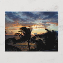 Sunset through the Palms Briefkaart