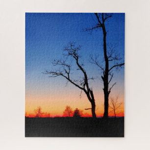 Sunset Through the Trees Legpuzzel