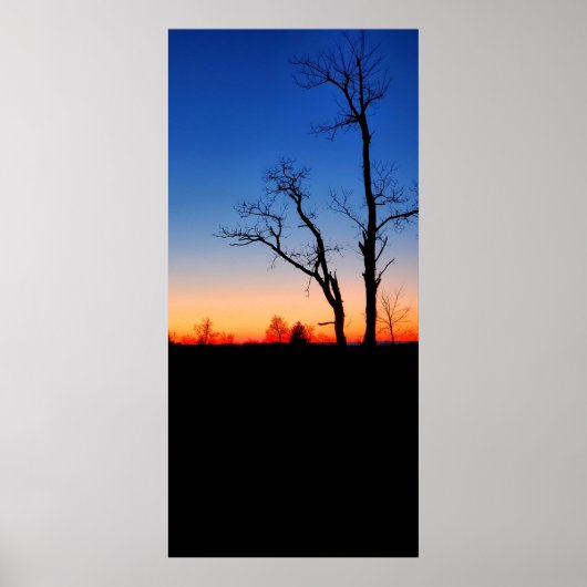 Sunset Through the Trees Poster (Voorkant)