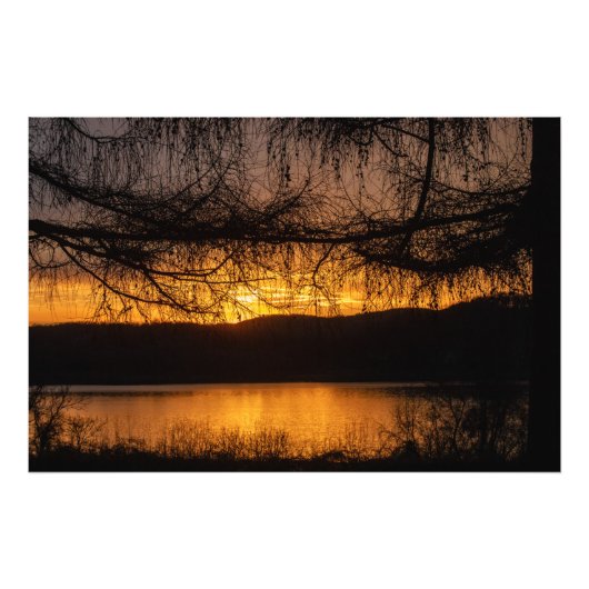 Sunset Through Trees Foto Afdruk (Voorkant)