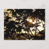 Sunset Through Trees I Tropical Photography Briefkaart (Voorkant)
