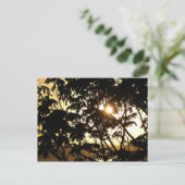Sunset Through Trees I Tropical Photography Briefkaart (Staand voorkant)