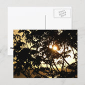 Sunset Through Trees I Tropical Photography Briefkaart (Voorkant / Achterkant)