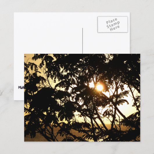 Sunset Through Trees I Tropical Photography Briefkaart (Voorkant / Achterkant)