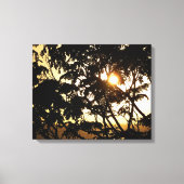 Sunset Through Trees I Tropical Photography Canvas Afdruk (Voorkant)