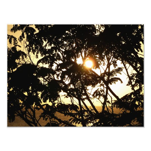 Sunset Through Trees I Tropical Photography Foto Afdruk (Voorkant)