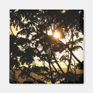 Sunset Through Trees I Tropical Photography Magneet
