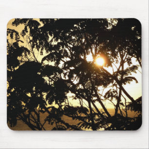 Sunset Through Trees I Tropical Photography Muismat