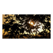 Sunset Through Trees I Tropical Photography Poster (Voorkant)