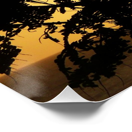 Sunset Through Trees I Tropical Photography Poster (Hoek)