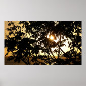 Sunset Through Trees I Tropical Photography Poster (Voorkant)