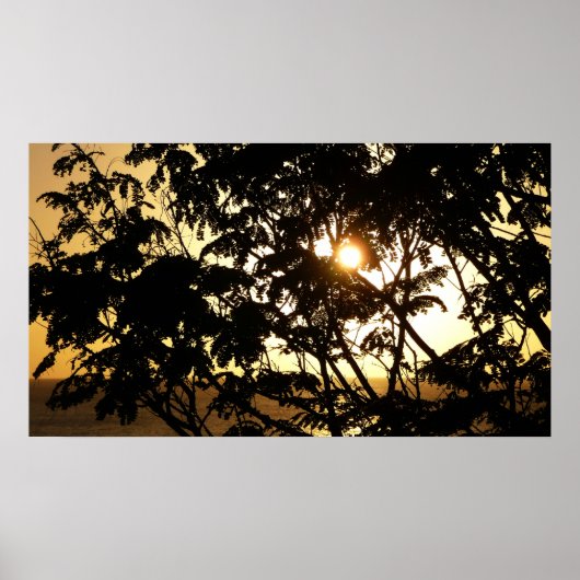 Sunset Through Trees I Tropical Photography Poster (Voorkant)