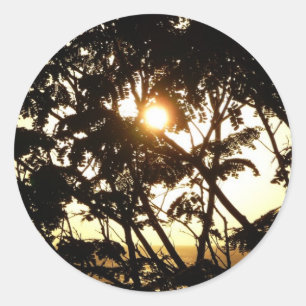 Sunset Through Trees I Tropical Photography Ronde Sticker