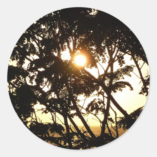 Sunset Through Trees I Tropical Photography Ronde Sticker (Voorkant)