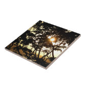 Sunset Through Trees I Tropical Photography Tegeltje (Zijkant)