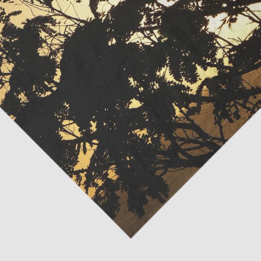Sunset Through Trees I Tropical Photography Tissuepapier (Detail)