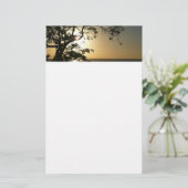 Sunset Through Trees II Tropische fotografie Briefpapier (Staand voorkant)