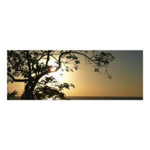 Sunset Through Trees II Tropische fotografie Foto Afdruk
