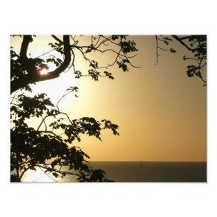 Sunset Through Trees II Tropische fotografie Foto Afdruk