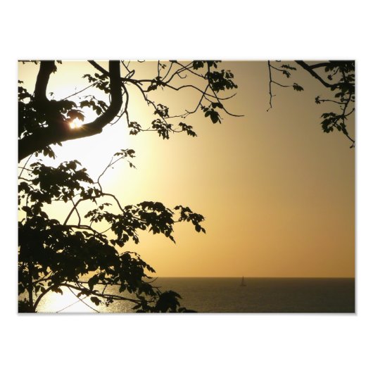Sunset Through Trees II Tropische fotografie Foto Afdruk (Voorkant)