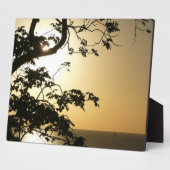 Sunset Through Trees II Tropische fotografie Fotoplaat (Zijkant)