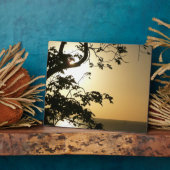 Sunset Through Trees II Tropische fotografie Fotoplaat (Zijkant)